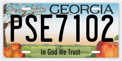 GA license plate PSE7102