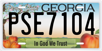 GA license plate PSE7104