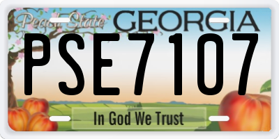 GA license plate PSE7107