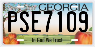 GA license plate PSE7109