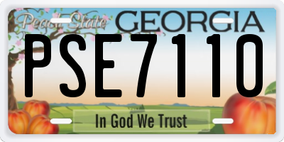 GA license plate PSE7110
