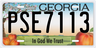 GA license plate PSE7113