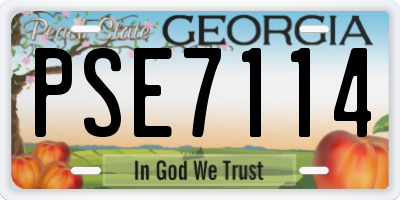 GA license plate PSE7114
