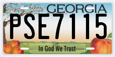 GA license plate PSE7115