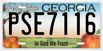 GA license plate PSE7116