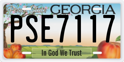 GA license plate PSE7117