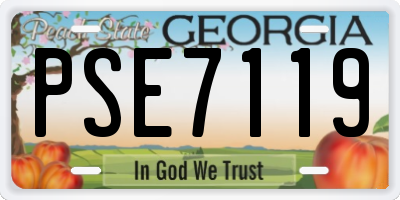 GA license plate PSE7119