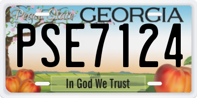 GA license plate PSE7124
