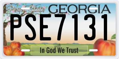GA license plate PSE7131