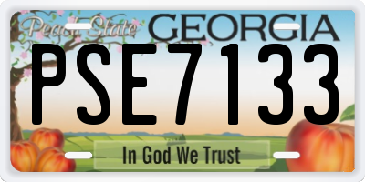 GA license plate PSE7133