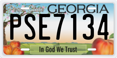 GA license plate PSE7134