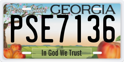 GA license plate PSE7136