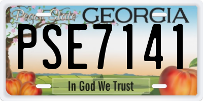 GA license plate PSE7141