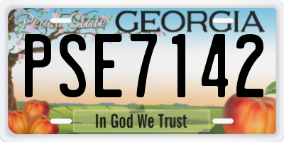 GA license plate PSE7142
