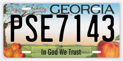 GA license plate PSE7143