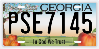 GA license plate PSE7145