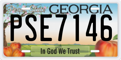 GA license plate PSE7146