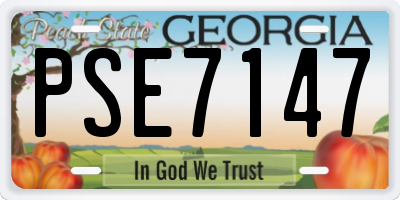 GA license plate PSE7147