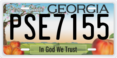 GA license plate PSE7155