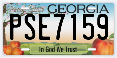 GA license plate PSE7159