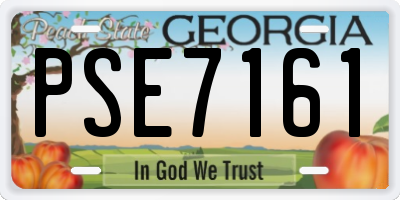 GA license plate PSE7161