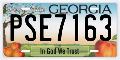 GA license plate PSE7163