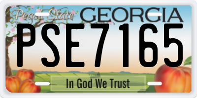 GA license plate PSE7165