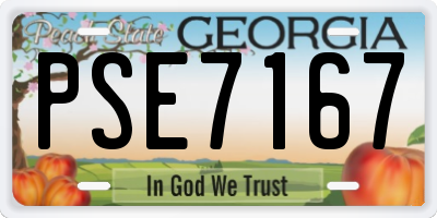 GA license plate PSE7167