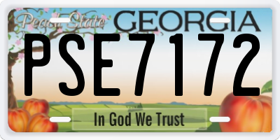 GA license plate PSE7172