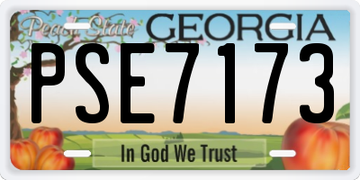 GA license plate PSE7173