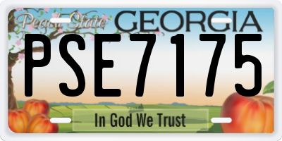 GA license plate PSE7175
