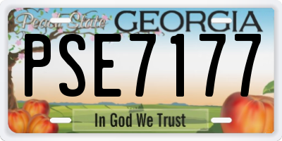 GA license plate PSE7177