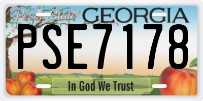 GA license plate PSE7178