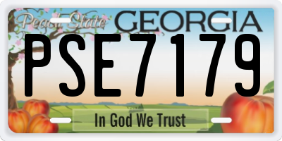 GA license plate PSE7179