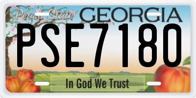 GA license plate PSE7180