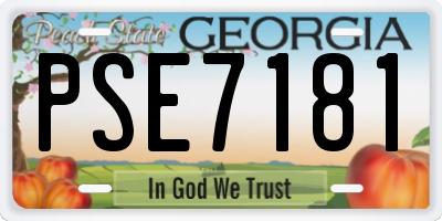 GA license plate PSE7181