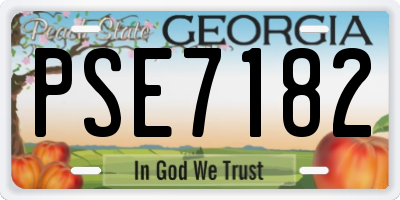 GA license plate PSE7182