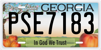 GA license plate PSE7183