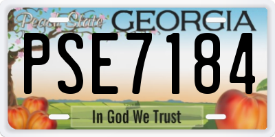 GA license plate PSE7184