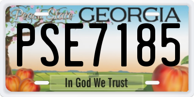 GA license plate PSE7185