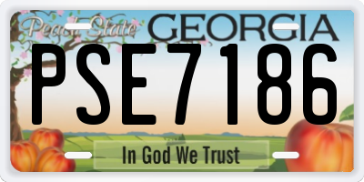 GA license plate PSE7186