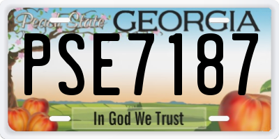 GA license plate PSE7187