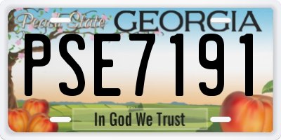 GA license plate PSE7191