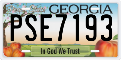 GA license plate PSE7193