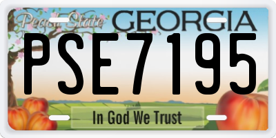 GA license plate PSE7195