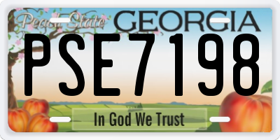 GA license plate PSE7198