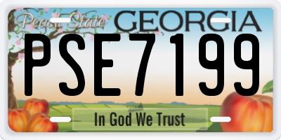 GA license plate PSE7199