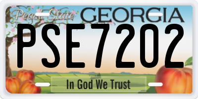 GA license plate PSE7202