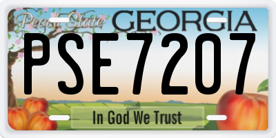 GA license plate PSE7207