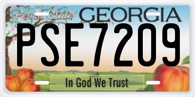 GA license plate PSE7209